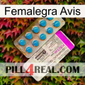 Femalegra Avis new07